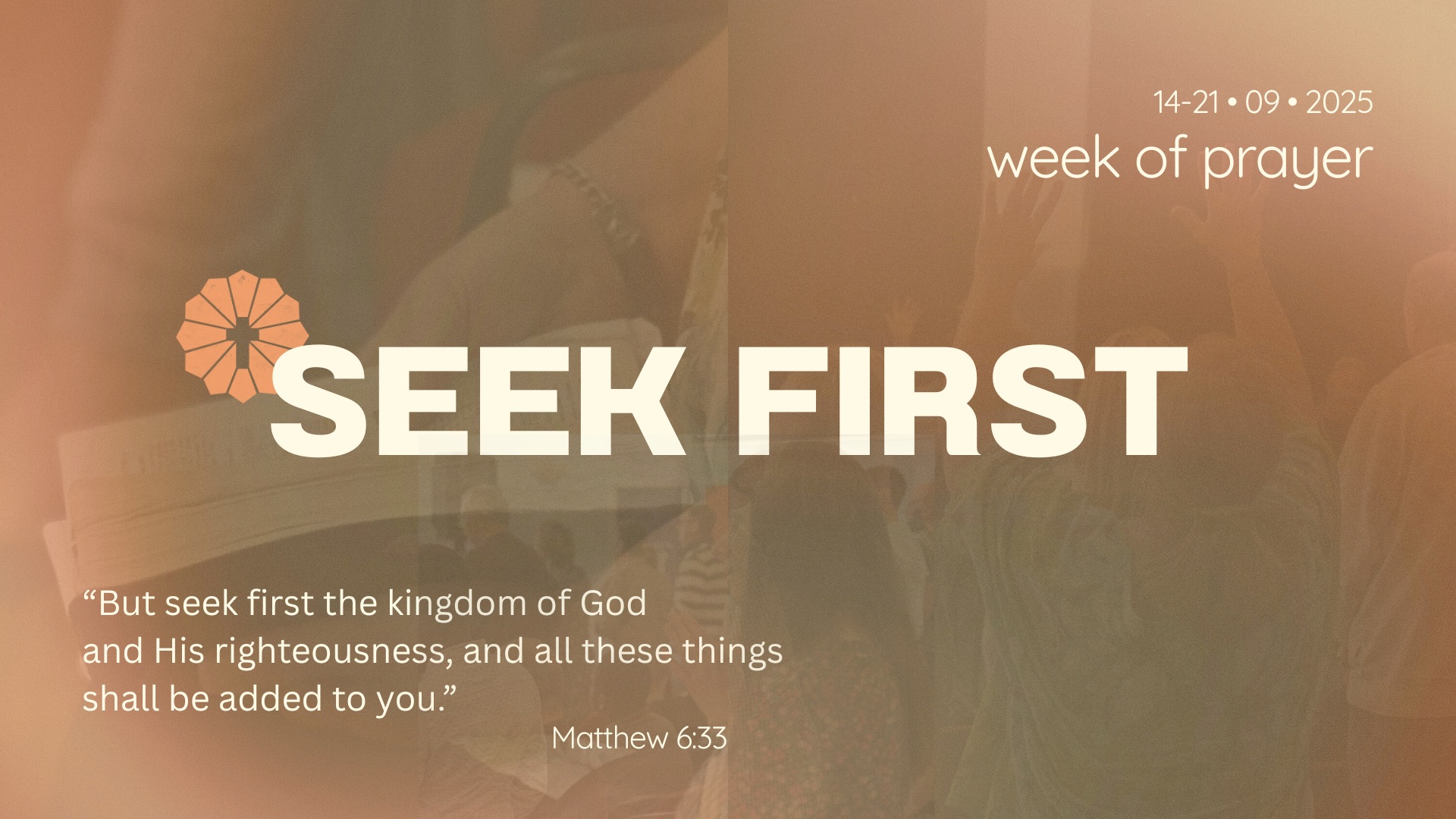 Seek First episode artwork